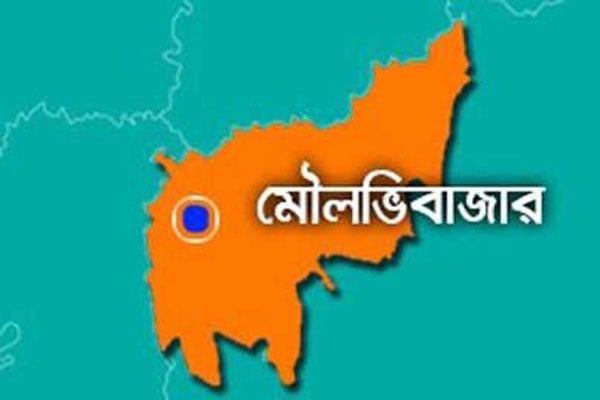 কুলাউড়ায় যমজ ২ শিশুকে পানিতে ডুবিয়ে হত্যার অভিযোগ