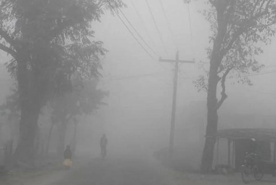 ঘন কুয়াশার চাদরে মুড়ে আছে পঞ্চগড়