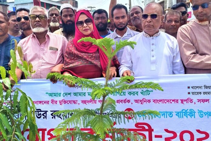 জিয়াউর রহমানের শাহাদাতবার্ষিকী উপলক্ষে নওগাঁয় গাছের চারা রোপণ