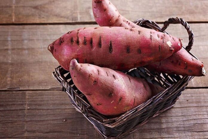 প্রতিদিন মিষ্টি আলু খেলে মিলবে যেসব উপকার