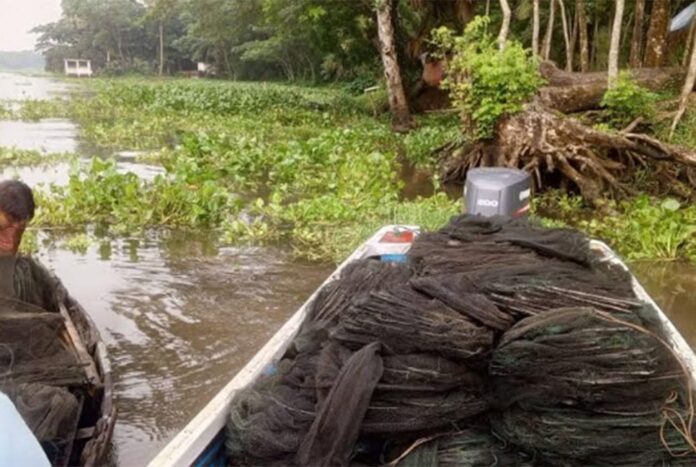 চাঁদপুরে নিষিদ্ধ জাল জব্দ