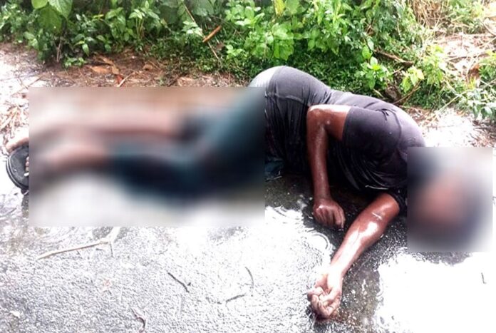 বিরলে চালককে হত্যা করে ভ্যান ছিনতাই