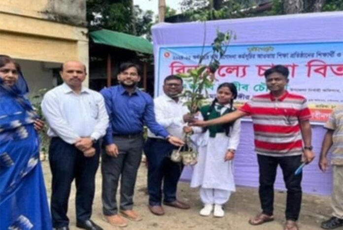 1752680325-ff2ae97df382e6319c4b855e4e4a9a10 নবীনগরে গাছের চারা বিতরণ