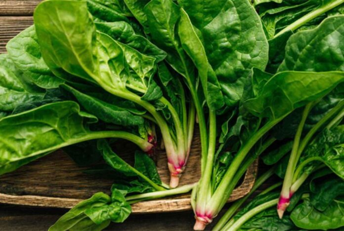 পালংশাকের পুষ্টিগুণ