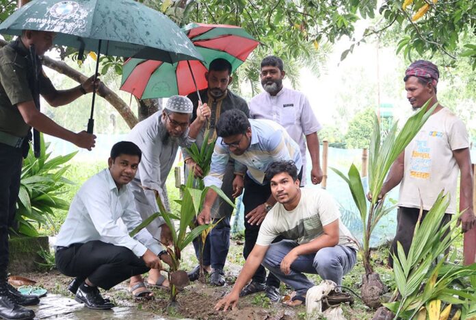 1752745872-0c20228392ee19ad3b727587fd82142a সিংড়ায় বৃক্ষরোপণ কর্মসূচি