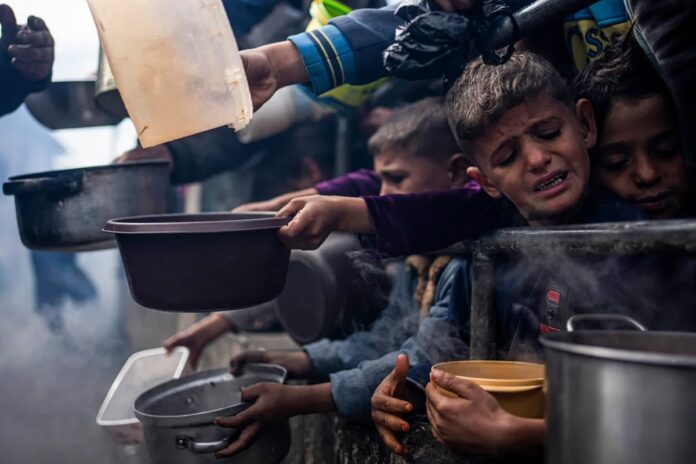 গাজায় এখন একটাই প্রশ্ন, ‘তুমি কি আজকে কিছু খেয়েছো?