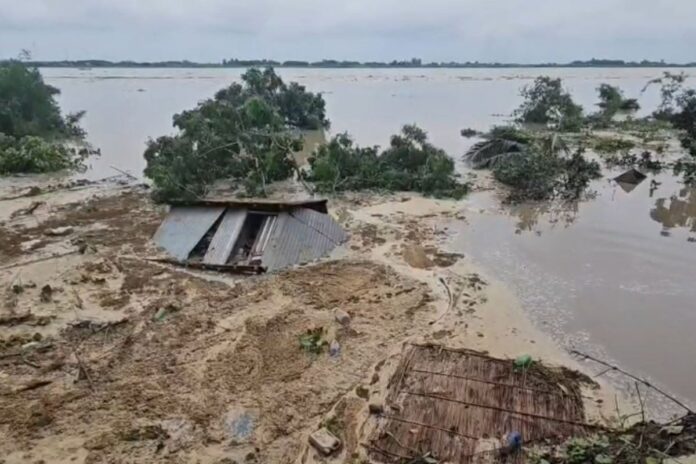 জাজিরায় পদ্মার ভাঙন, ঝুঁকিতে শত ঘর-বসতি