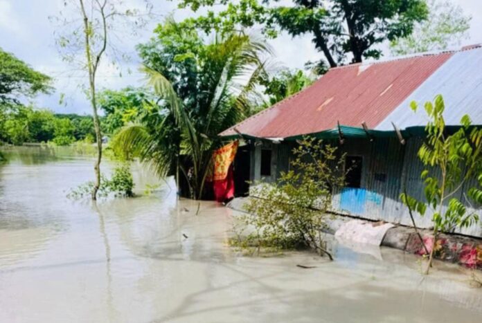 1753631032-06f4ab01f583d47226e346d127fa3a56 সোনাগাজীর নিম্নাঞ্চল প্লাবিত