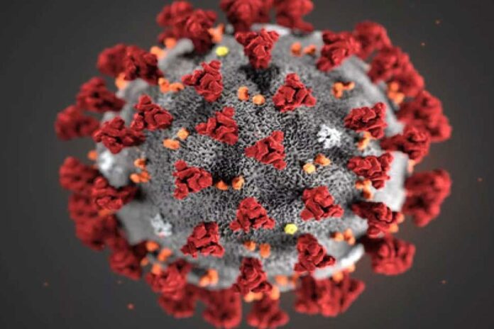 1754048447-cafb798561e675cce1e55a0f1a1ed611 করোনায় আরও একজনের মৃত্যু