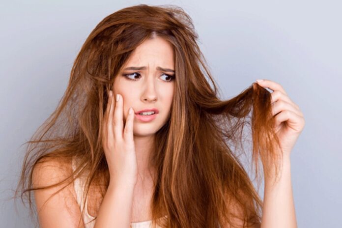 চুলের রুক্ষতা দূর করার উপায়