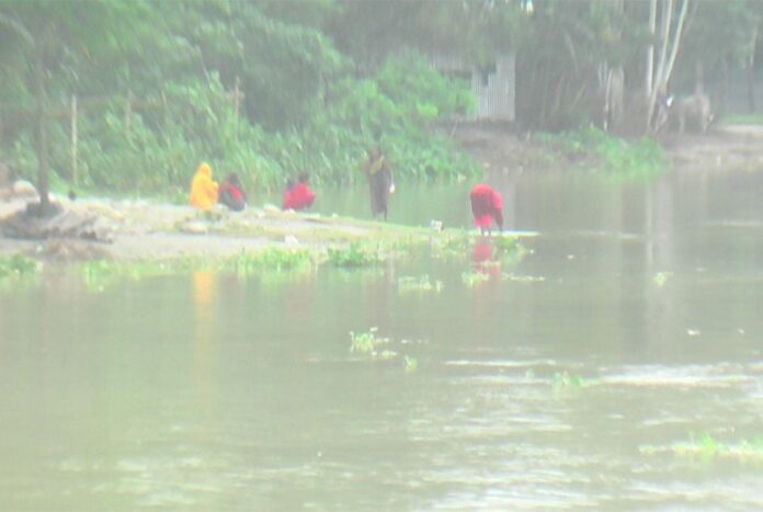 কুড়িগ্রামে নদ-নদীর পানি বাড়ছে, বন্যার আশঙ্কা
