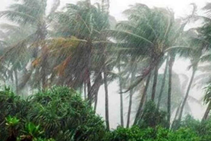 ঢাকাসহ যেসব জেলায় দুপুরের মধ্যে ৬০ কিমি বেগে ঝড়ের আভাস