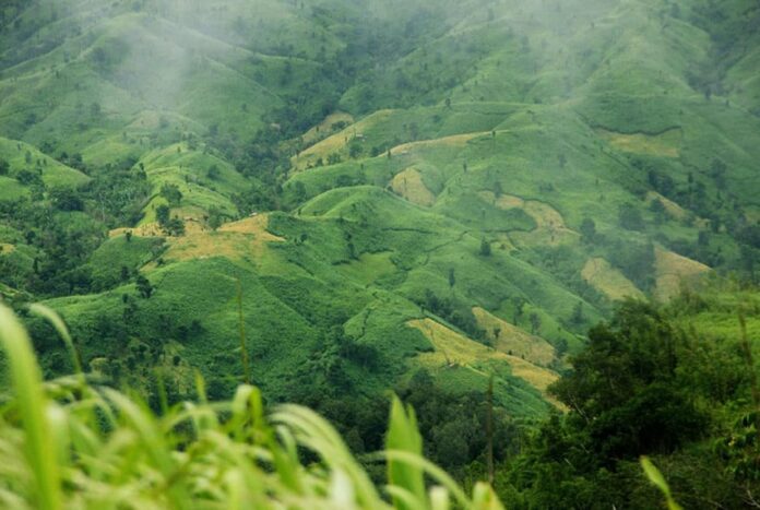 বান্দরবান সীমান্তে স্থলমাইন বিস্ফোরণ, তরুণীর পা বিচ্ছিন্ন