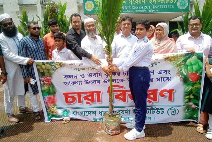 তরুণদের মাঝে নারিকেল চারা বিতরণ ও ধান আবাদে প্রশিক্ষণ