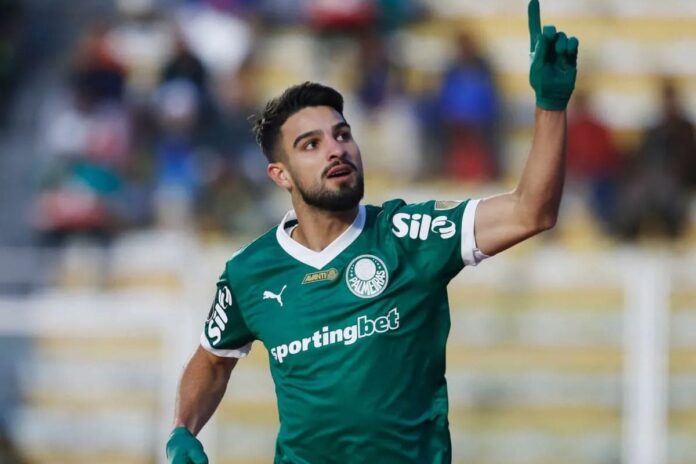 আর্জেন্টিনা দলে চমক পালমেইরাসের স্ট্রাইকার, নেই এনজো