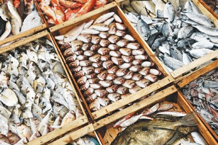 1755611930-710fca40f8d7cecb3f895b2d122792d1 গত অর্থবছরে ৫ হাজার ১৪৫ কোটি টাকার মাছ রফতানি