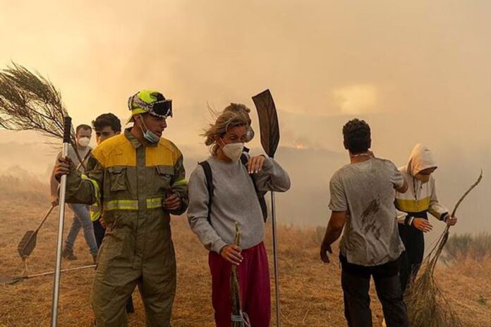 স্পেনে তাপপ্রবাহে ১৬ দিনে সাড়ে ১১শ’ মানুষের মৃত্যু