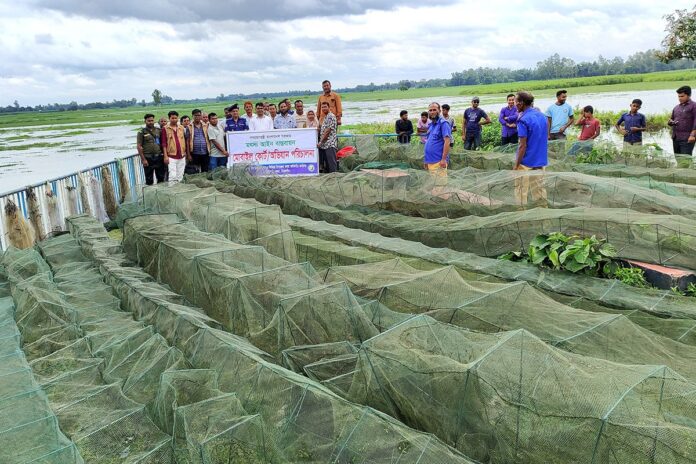 ঠাকুরগাঁওয়ে ৭০টি অবৈধ জাল জব্দ করে পুড়িয়ে দিলো প্রশাসন