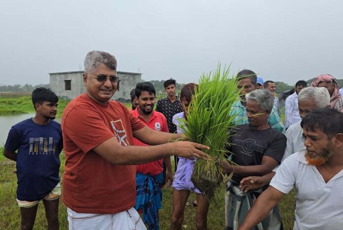 রূপগঞ্জে কৃষকদের মাঝে ধানের বীজ বিতরণ