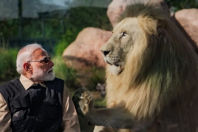 অবৈধভাবে প্রাণী সংগ্রহের অভিযোগ, তদন্তের মুখে আম্বানিপুত্রের চিড়িয়াখানা ‘বনতারা’