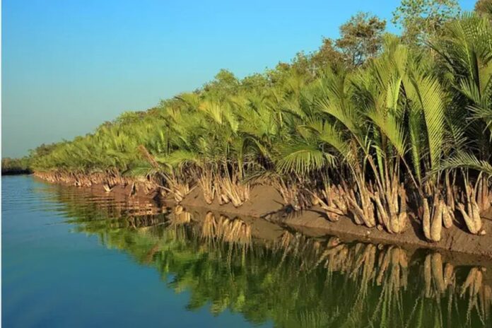 1756550848-948d9df2cebfc61b489b65ebd181d381 তিন মাস পর ফের সুন্দরবনের দুয়ার খুলছে সোমবার