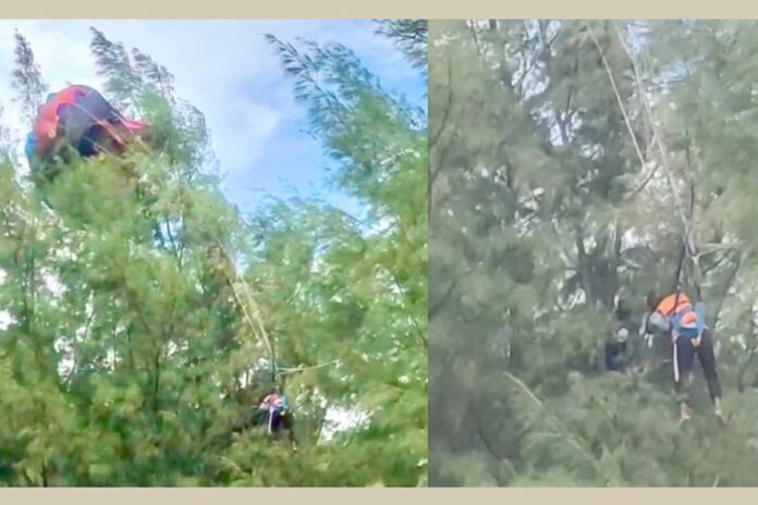 গাছে আটকে ঝুলে ছিলেন পর্যটক, কক্সবাজার সৈকতে প্যারাসেলিং বন্ধের নির্দেশ