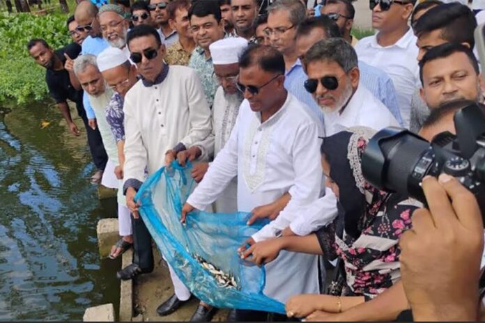 বিএনপির প্রতিষ্ঠাবার্ষিকীতে মাছের পোনা অবমুক্ত