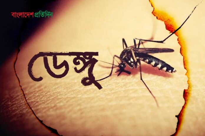 বরিশালে ডেঙ্গুতে ২ জনের মৃত্যু