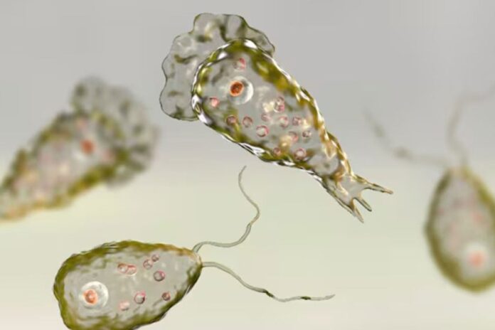 কেরালায় ভয়ঙ্কর হয়ে উঠেছে মস্তিষ্ক-খেকো অ্যামিবা, নয় মাসে মৃত্যু ১৭