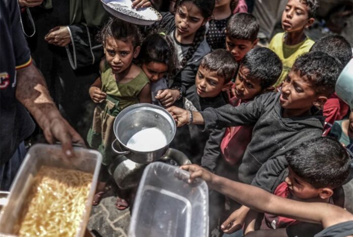1757988942-5c8f82c8bc9a47ee81851c4df1654c58 গাজায় দুর্ভিক্ষে শিশুসহ ৪২৫ ফিলিস্তিনির মৃত্যু