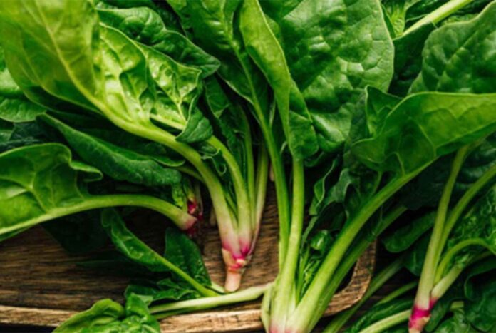 পালংশাকের পুষ্টিগুণ