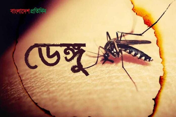 1760626027-f55d391480b6c298d68adc0116a59ba8 ফেনীতে ২৪ ঘণ্টায় নতুন ১১ ডেঙ্গু রোগী শনাক্ত