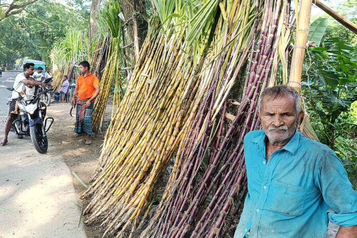 মানিকগঞ্জে রাস্তার ধারে লাখ টাকার আখ বিক্রি