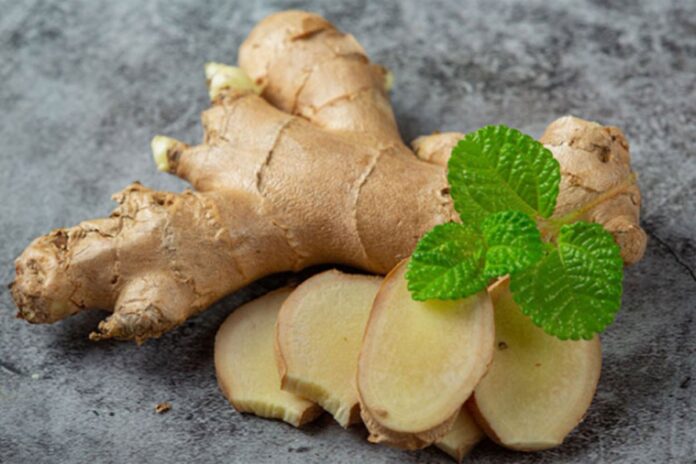 মানসিক চাপ ও উদ্বেগ কমাতে ৭টি প্রাকৃতিক টনিক