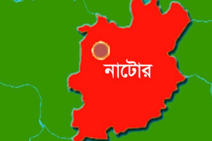 1761148899-5836505acdf8e9e8b84d20df415f0989 নাটোরে সড়ক দিবসে মহাসড়ক সংস্কারের দাবি