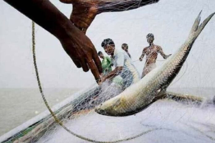 1761367921-8df7b73a7820f4aef47864f2a6c5fccf ২২ দিনের নিষেধাজ্ঞা শেষ হচ্ছে আজ, মধ্য রাত থেকে ইলিশ ধরা শুরু