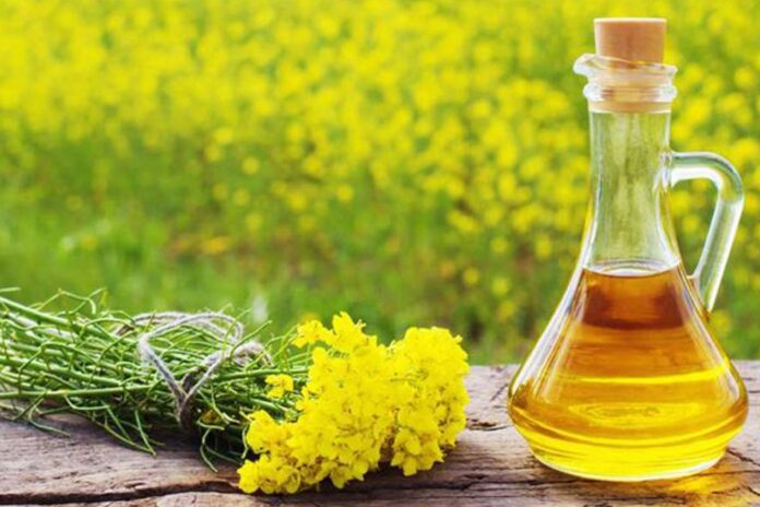 সরিষার তেলের যত গুণ