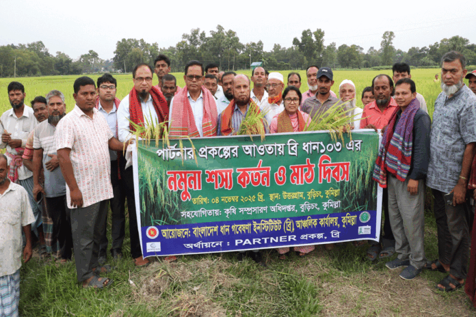 নতুন জাতের ধানে খুশি কৃষক