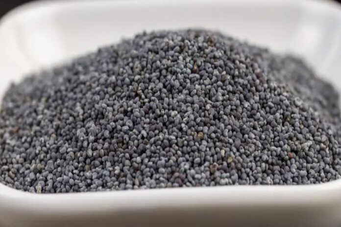 পপি সিড বা পোস্ত দানা কী, আইন কী বলে?