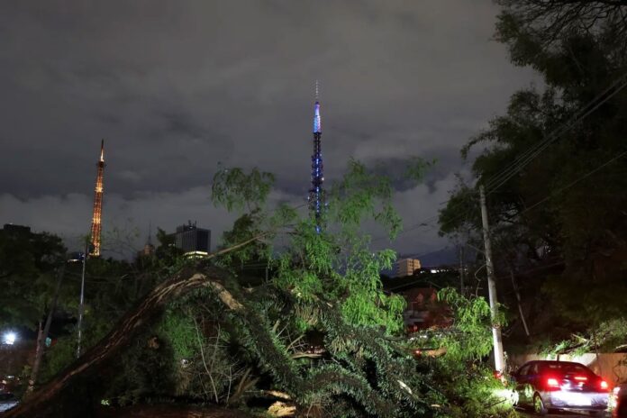 1762594401-d508511aa4c6515443f3b99c4ffb3e2e ব্রাজিলে টর্নেডোর আঘাতে অন্তত ৫ জনের মৃত্যু, আহত ১৩০