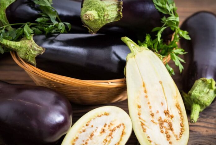 1762849647-555be525efa987aedda379067c171fdb বেগুনে পোকা আছে কি না বোঝা যাবে যেভাবে