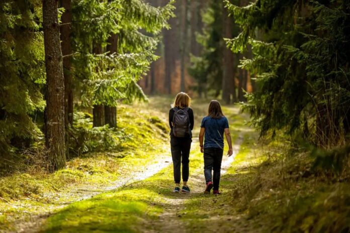 প্রকৃতিতে ২০ মিনিট হাঁটলেই বাড়ে মনোযোগ ও মস্তিষ্কের কার্যক্ষমতা: গবেষণা