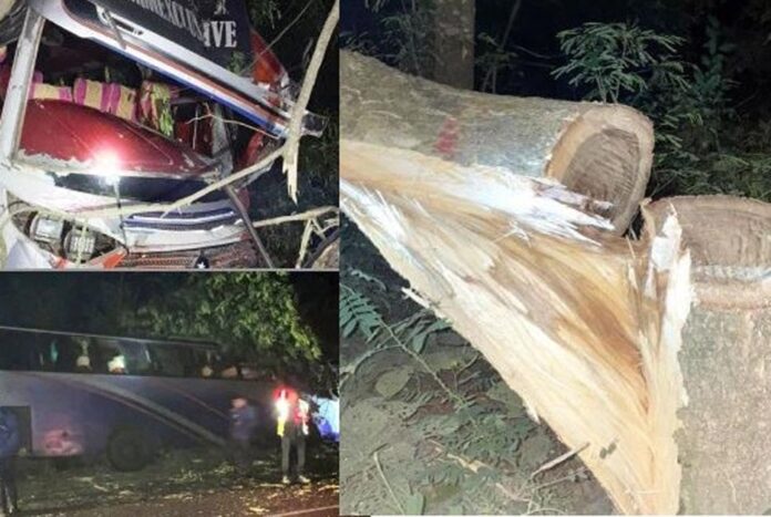 1763277094-85c727ce8f7f880a65fc7d883966c7c5 গভীররাতে কাশিয়ানীতে গাছ ফেলে মহাসড়ক অবরোধ