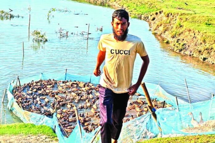 নদীর তীরে হাঁসের খামার