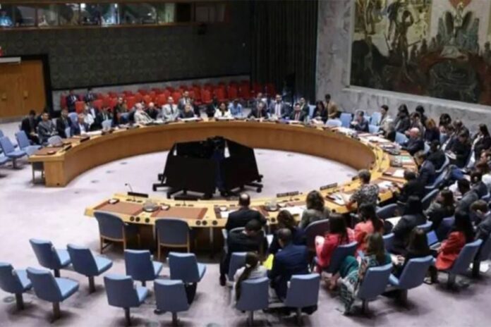 1763359260-d68d69c58e53816aeaf142decb03b692 ট্রাম্পের গাজা শান্তি পরিকল্পনা নিয়ে জাতিসংঘে ভোটাভুটি আজ