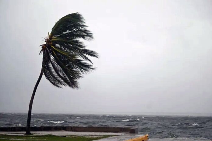 1763916778-c67486cb16c22544cf6600c714ba4e96 বঙ্গোপসাগরে ঘূর্ণিঝড়ের শঙ্কা, ৪৮ ঘণ্টার মধ্যে তীব্র হতে পারে