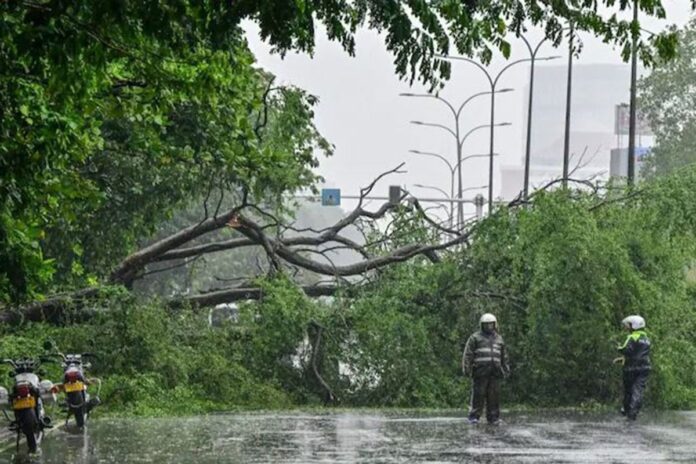 শ্রীলঙ্কায় বন্যা-ভূমিধসে নিহত বেড়ে ১২৩