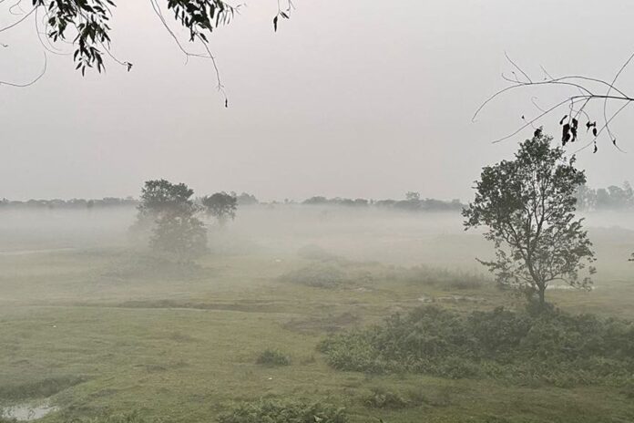 1764456874-736f5129fe90cf726767b76e36fef836 আগামীকাল থেকে কমতে পারে তাপমাত্রা