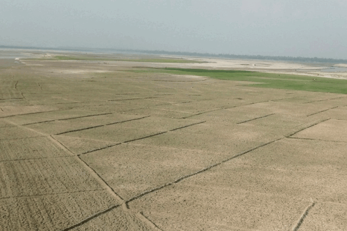 1764331143-40af9ca5d4af4f53bc05e0396f2436f0 তিস্তার চরে বেড়েছে চাষাবাদ, কৃষকদের মুখে হাসি
