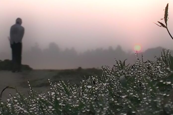 1764563675-79b3bf37a88090c4d9351902b39662b6 দেশের সর্বনিম্ন তাপমাত্রা তেঁতুলিয়ায়